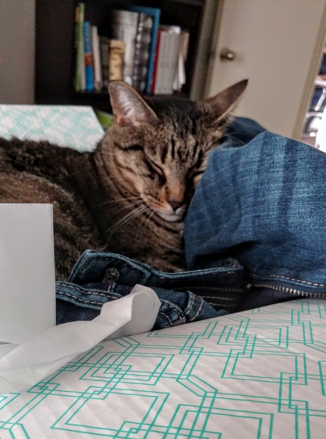 Stitch Fix July Cat Jeans Box